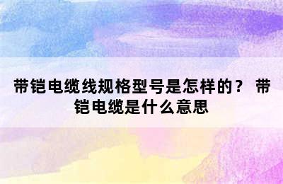 带铠电缆线规格型号是怎样的？ 带铠电缆是什么意思